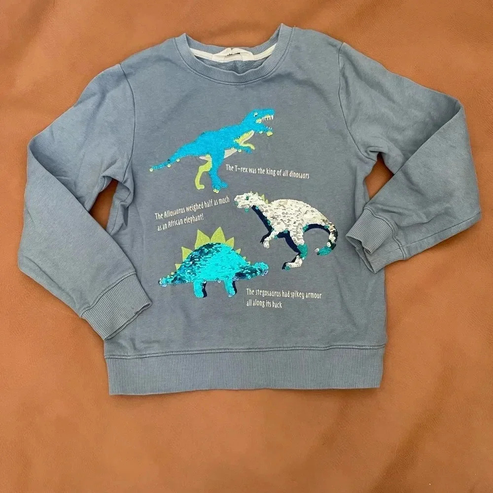 H&M dinosaur crewneck sweater